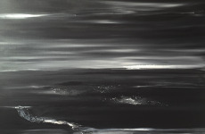 Noir & blanc 2, 2016