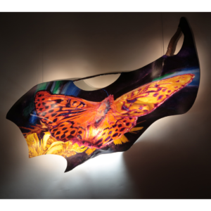 "Val Verzasca papillon", 2018