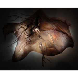 Dully - I`harmonie, 2018